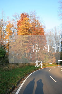 信用卡顯示已逾期一個禮拜(信用卡顯示已逾期一個禮拜)