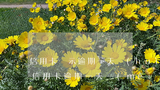 信用卡顯示逾期一天會(huì)罰款嗎 還信用卡逾期一天沒(méi)事吧