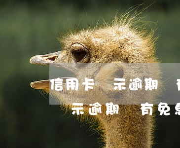 信用卡顯示逾期沒有免息期怎么辦-信用卡顯示逾期沒有免息期怎么辦呢