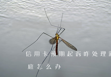 信用卡预期起诉咋处理(新信用卡逾期告上法庭怎么办)