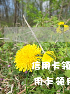 信用卡领用条约逾期三月是多少条规定-信用卡领用条约逾期三月是多少条规定的
