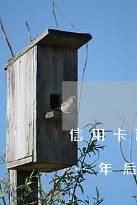 信用卡额度10万一年不还(欠信用卡10万一年后要还多少)
