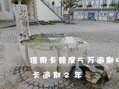 信用卡额度5万逾期9个月-5千额度信用卡逾期2年