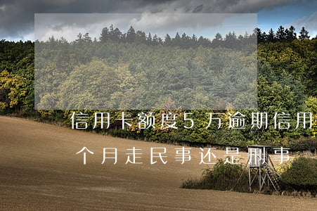 信用卡额度5万逾期(信用卡额度5万逾期3个月走民事还是刑事)