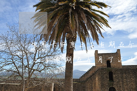 信用卡额度三千逾期五个月了-信用卡额度三千逾期五个月了还没恢复