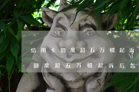 信用卡额度超五万被起诉后怎么办-信用卡额度超五万被起诉后怎么办理