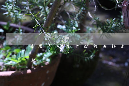 信用卡风控中心能去协商吗(什么叫信用卡风控)