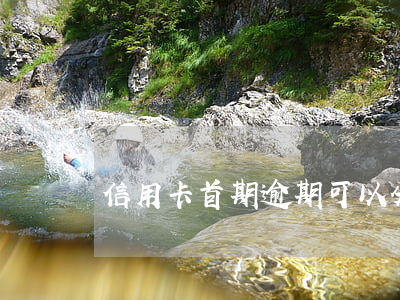 信用卡首期逾期可以分期還嗎
