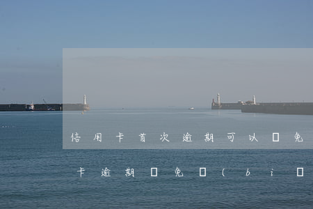 信用卡首次逾期可以減免嗎(2020年信用卡逾期減免標(biāo)準(zhǔn))