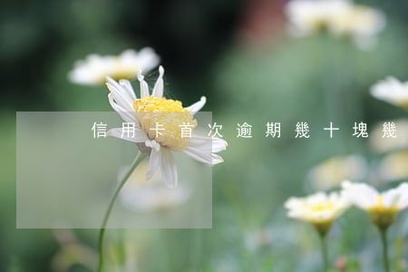 信用卡首次逾期幾十塊(幾塊錢信用卡逾期)