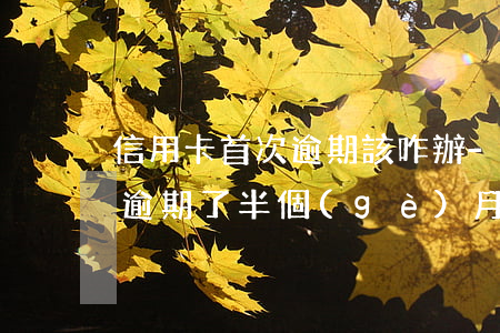 信用卡首次逾期該咋辦-第一次使用信用卡逾期了半個(gè)月有影響嗎?