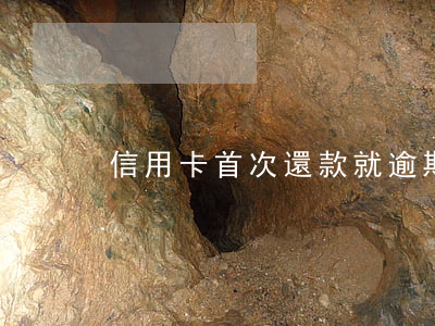 信用卡首次還款就逾期(信用卡逾期再還)