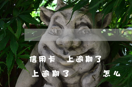 信用卡馬上逾期了沒錢還怎么辦-信用卡馬上逾期了沒錢還怎么辦呢