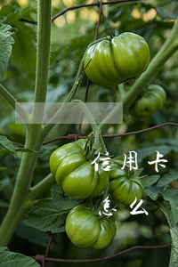 信用卡馬上逾期怎3個月(信用卡逾期三個月怎么辦)