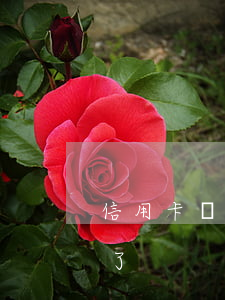 信用卡馬上面臨逾期-信用卡馬上面臨逾期了
