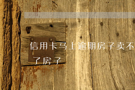 信用卡马上逾期房子卖不了(欠信用卡逾期封了房子)