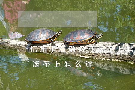 信用卡高額分期還不上怎么辦(高額度信用卡還不上怎么辦)
