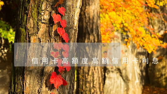 信用卡 高額度（高額信用卡利息）