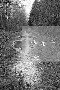 信用卡高額欠款還不起(信用卡高額欠款還不起)