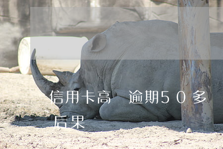 信用卡高額逾期50多萬(信用卡逾期幾萬的后果)