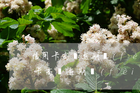 信用卡高額逾期費(fèi)是否合理(信用卡高額逾期費(fèi)是否合理)