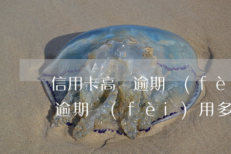 信用卡高額逾期費(fèi)用(信用卡高額逾期費(fèi)用多少)