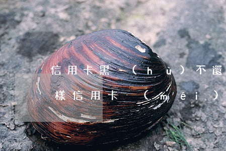 信用卡黑戶(hù)不還會(huì)怎么樣(信用卡沒(méi)錢(qián)還黑戶(hù)了以后怎么辦有什么影響)