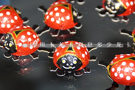 信用卡龙卡利息多少(龙卡利率)