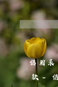 信用呆賬2年怎樣跟銀行協(xié)商還款-信用呆賬2年怎樣跟銀行協(xié)商還款呢