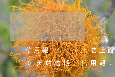 信用報(bào)告上面超過(guò)90天的逾期-信用報(bào)告上面超過(guò)90天的逾期怎么辦