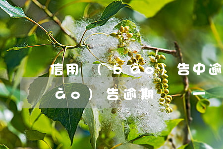 信用報(bào)告中逾期賬戶(信用報(bào)告逾期賬戶一個(gè))