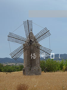 信用報(bào)告怎么看逾期