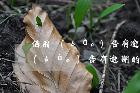 信用報(bào)告有逾期的后果-信用報(bào)告有逾期的后果