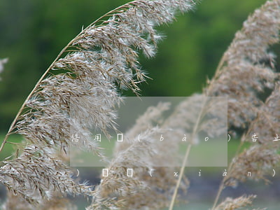 信用報(bào)告止付解除后會(huì)體現(xiàn)逾期嗎-信用報(bào)告止付解除后會(huì)體現(xiàn)逾期嗎怎么辦