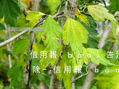 信用報(bào)告沒有逾期多少天記錄清除-信用報(bào)告沒有逾期多少天記錄清除了