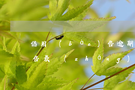 信用報(bào)告 逾期（信用報(bào)告最長(zhǎng)逾期時(shí)間）