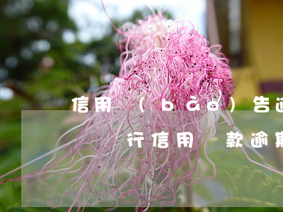 信用報(bào)告逾期對(duì)貸款嗎(銀行信用貸款逾期)