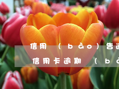 信用報(bào)告逾期記錄（個(gè)人信用卡逾期報(bào)告）