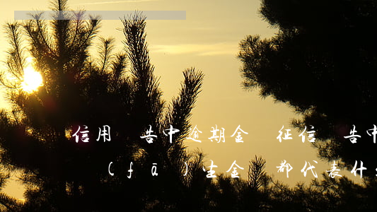 信用報告中逾期金額(征信報告中逾期金額和發(fā)生金額都代表什么)