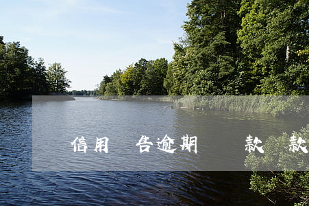 信用報告逾期對貸款(貸款逾期原因分析)