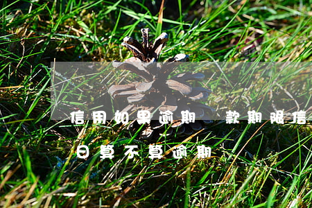 信用如果逾期還款期限(信用卡過了到期還款日算不算逾期)