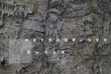 信用宝贷款逾期-借贷宝怎么样:借贷宝逾期如何处理