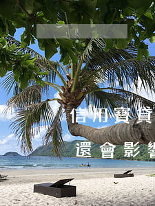 信用寶貸款逾期了后果(用錢寶貸款逾期沒有還會影響家人征信嗎)