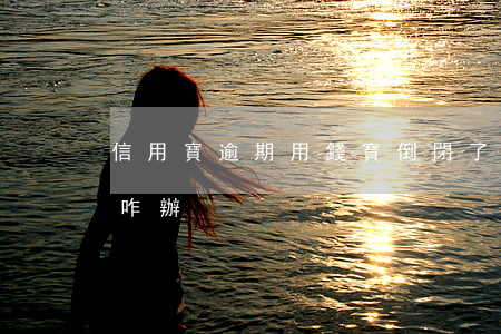 信用寶逾期(用錢寶倒閉了,但是我逾期了,征信咋辦)