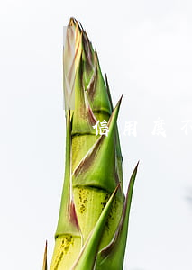 信用度不好怎么恢復(fù)(信用度極差)