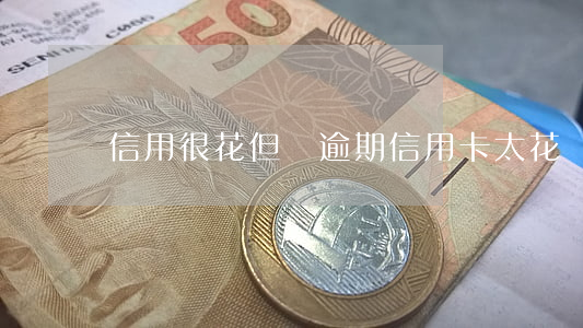 信用很花但沒逾期（信用卡太花沒有逾期怎么辦）