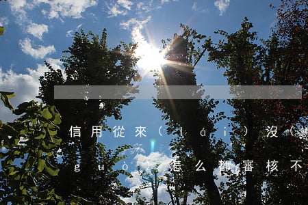 信用從來(lái)沒(méi)逾期過(guò)怎么都審核不過(guò)-信用從來(lái)沒(méi)逾期過(guò)怎么都審核不過(guò)呢