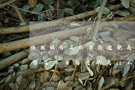 信用报告显示当前逾期是什么意思-信用报告显示当前逾期是什么意思啊