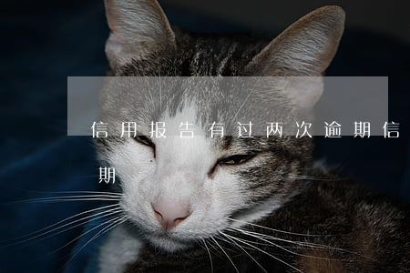 信用报告有过两次逾期(信用报告中有一次逾期)