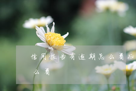 信用报告有逾期怎么看 征信报告里的逾期怎么看